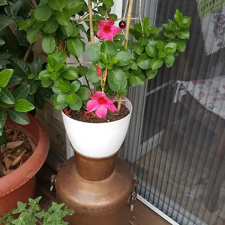 Akide Butik B&B 3*