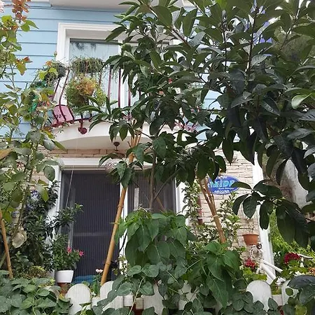 Oda ve Kahvaltı Akide Butik Zeytinbagi