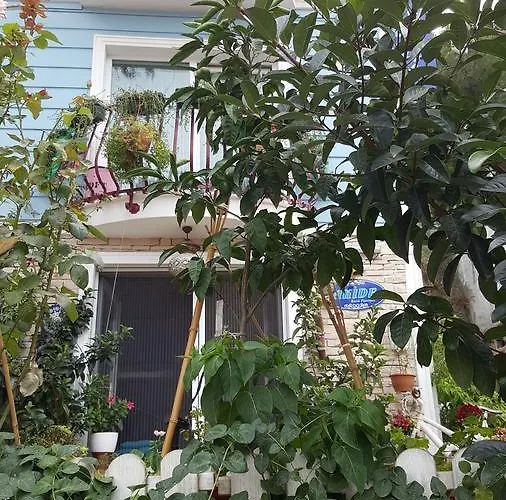 Frühstückspension Akide Butik Zeytinbagi